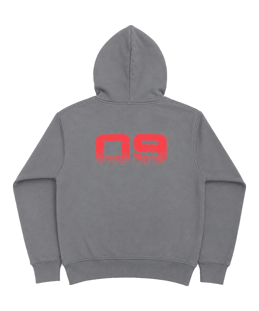 Chaos and Control hoodie, back print